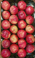Fiches variétales Pêches Nectarines - Variété Nabriva, nectarine à chair blanche (plateau)